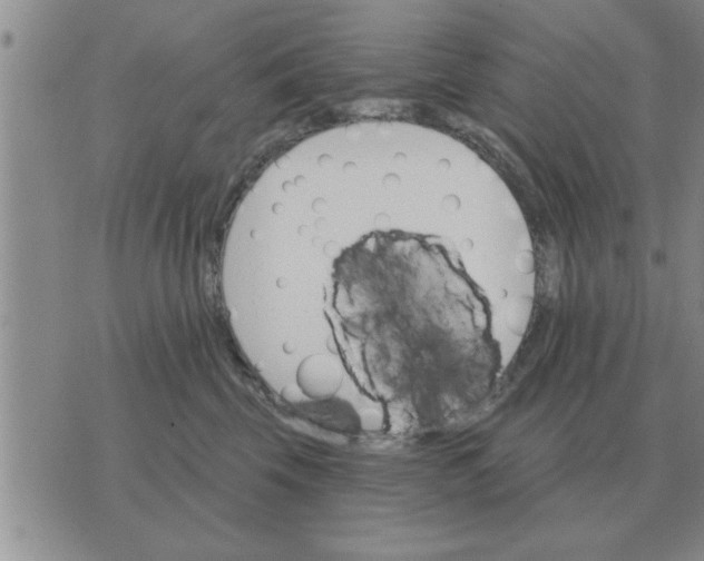 X0000074340569200609152125