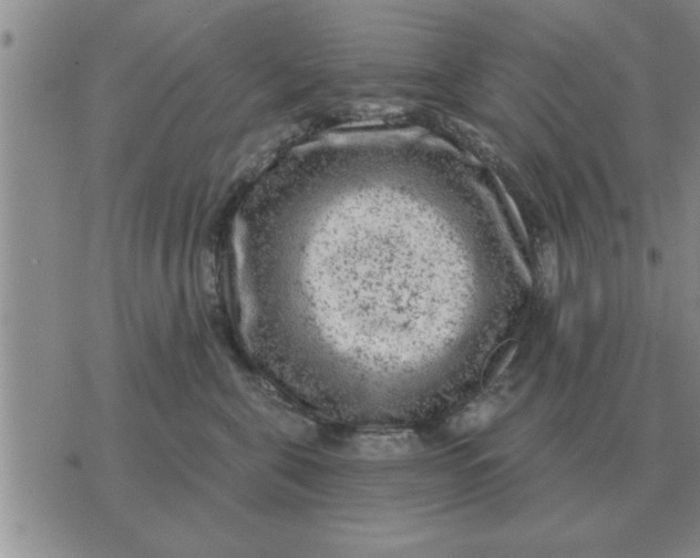 X0000074340571200609152125