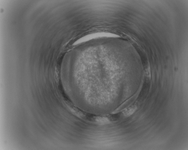 X0000074340572200609152125