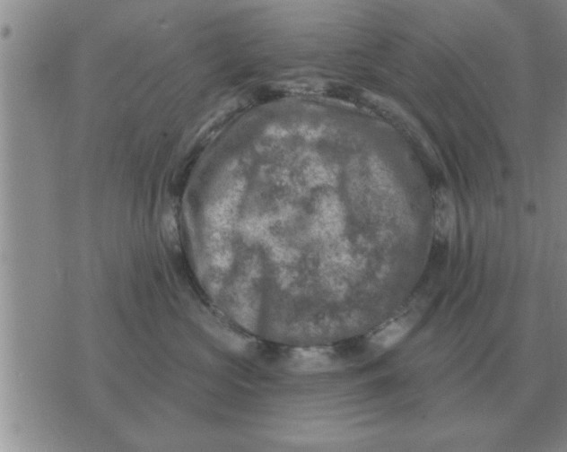 X0000074340573200609152125