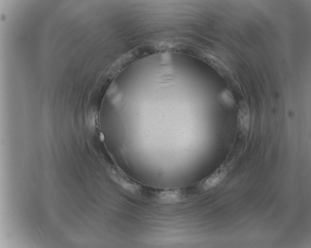 X0000074340574200609152125