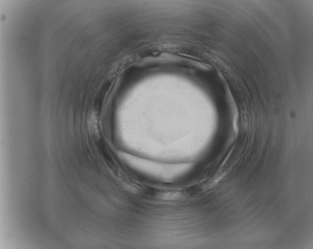 X0000074340575200609152125