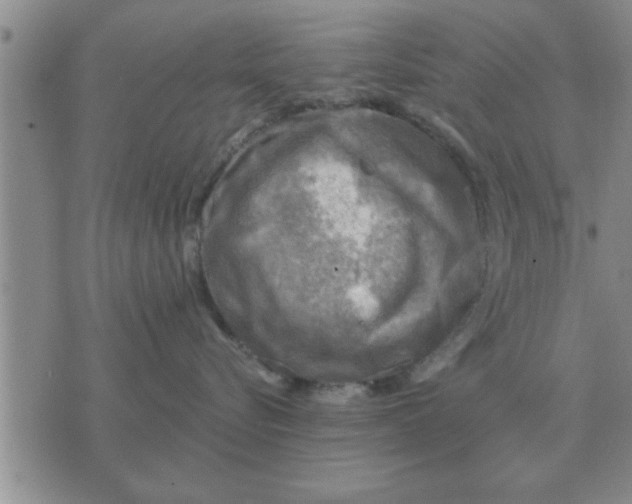 X0000074340576200609152125