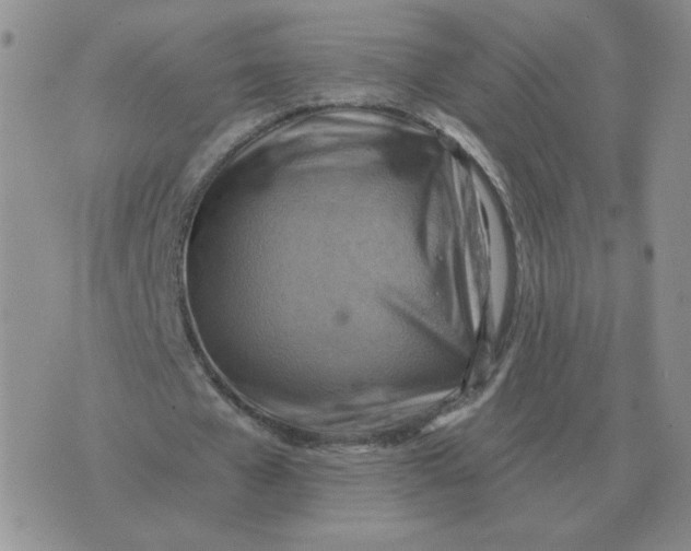 X0000074340577200609152124