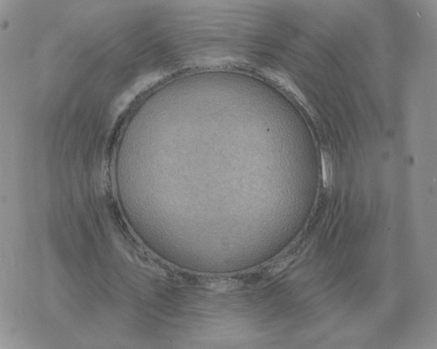 X0000074340579200609152124