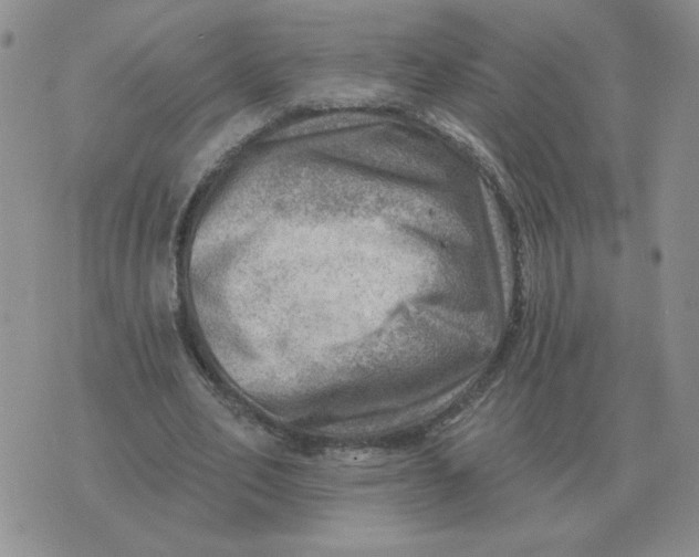 X0000074340582200609152124