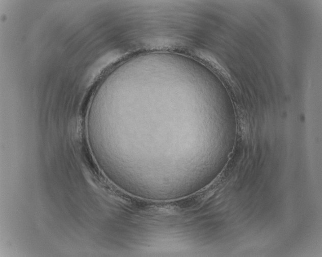 X0000074340583200609152124