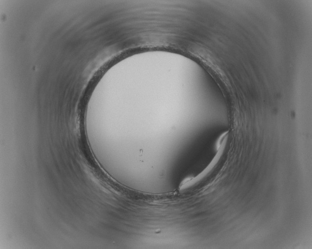 X0000074340584200609152124