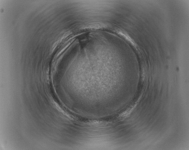 X0000074340585200609152124