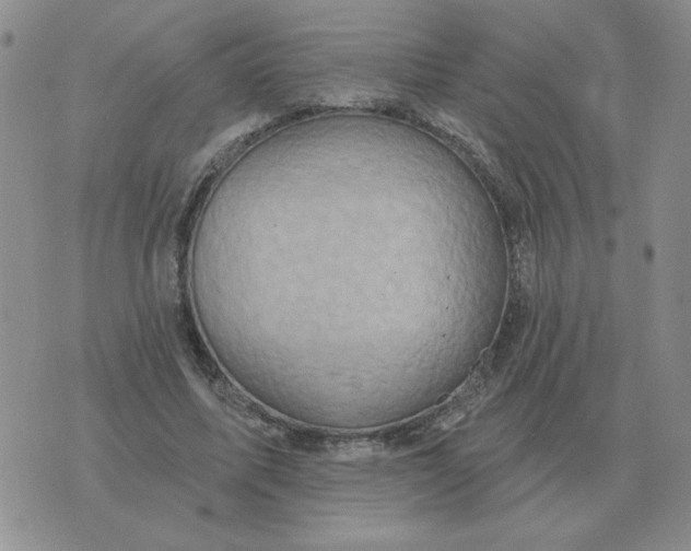 X0000074340587200609152124