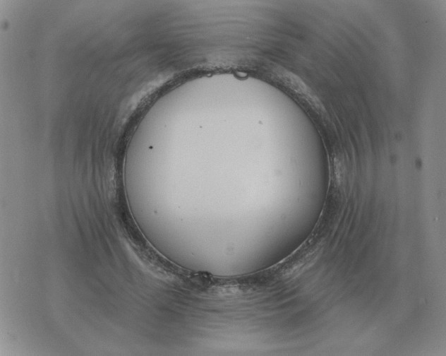 X0000074340588200609152124