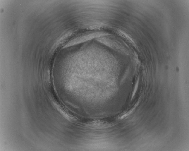 X0000074340589200609152124