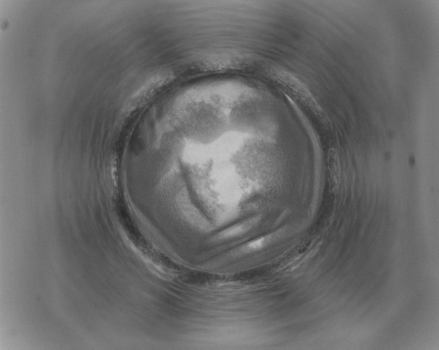 X0000074340590200609152124