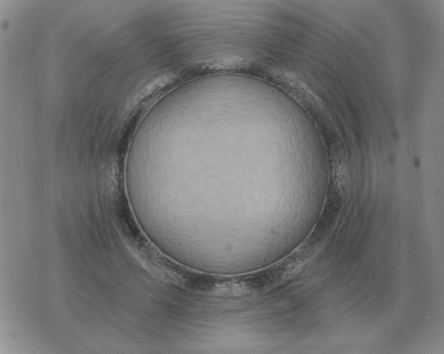 X0000074340591200609152124