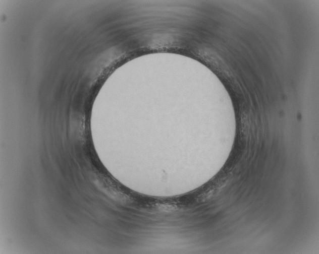 X0000074340592200609152124