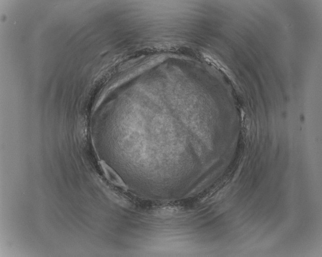 X0000074340593200609152124