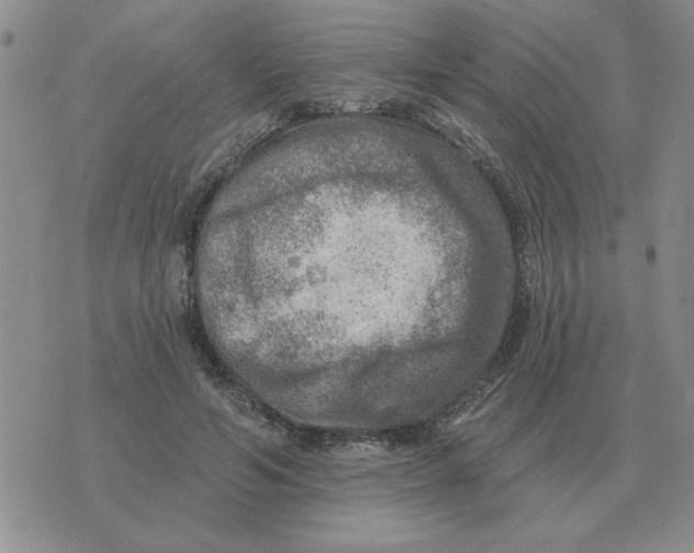 X0000074340594200609152124