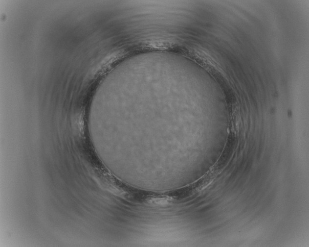 X0000074340595200609152124