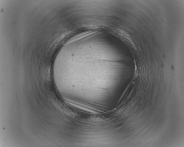 X0000074340596200609152124