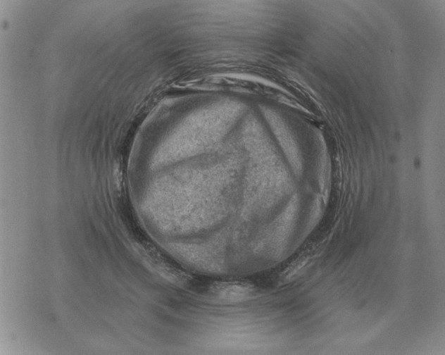 X0000074340597200609152124