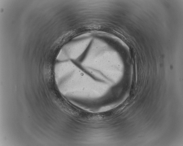 X0000074340600200609152124