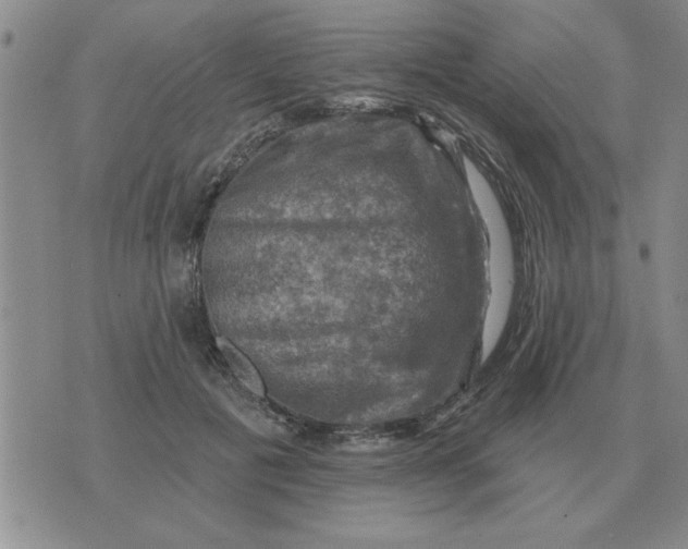 X0000074340601200609152124