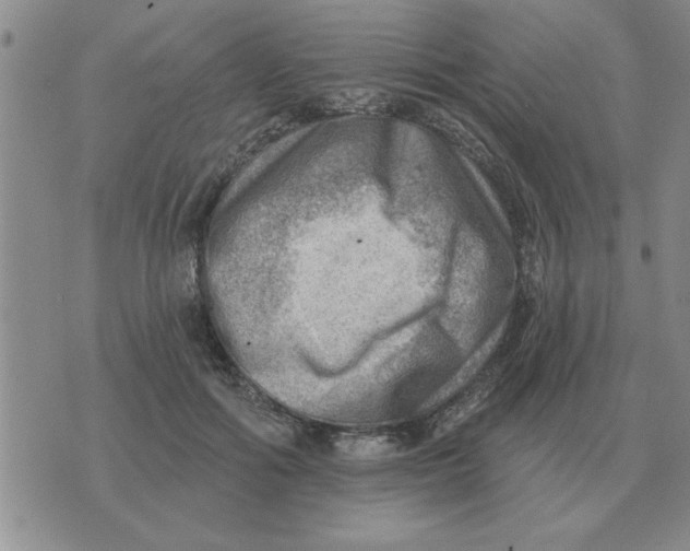 X0000074340602200609152124