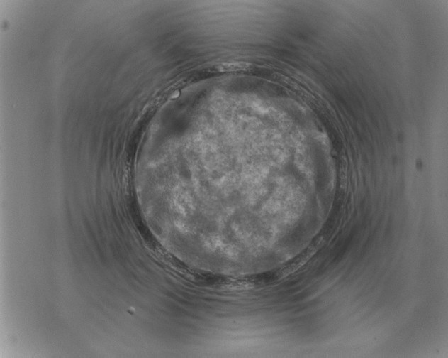 X0000074340604200609152124