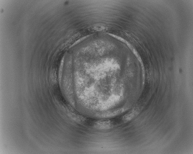 X0000074340606200609152124