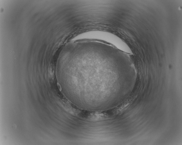 X0000074340607200609152124