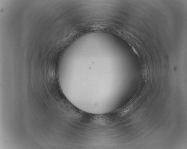 X0000074340608200609152124