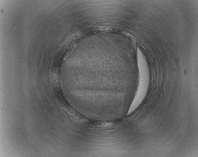 X0000074340609200609152124