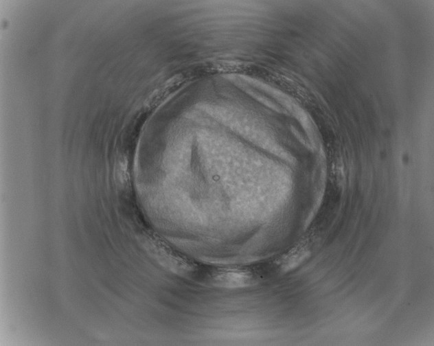 X0000074340610200609152124