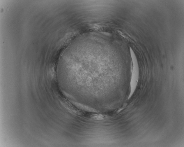 X0000074340611200609152124