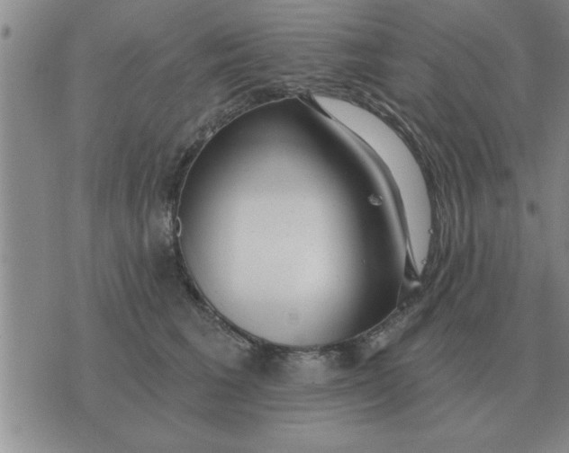 X0000074340613200609152124