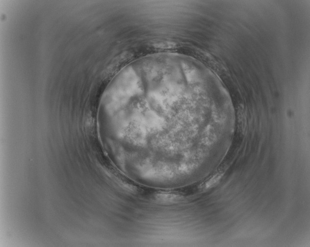 X0000074340614200609152124