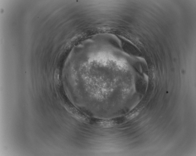 X0000074340615200609152124