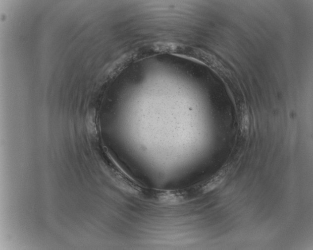 X0000074340616200609152124