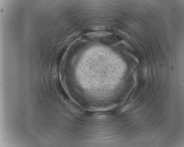 X0000074340620200609152123