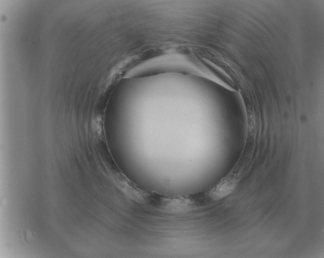 X0000074340621200609152123