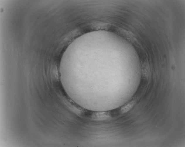 X0000074340622200609152123