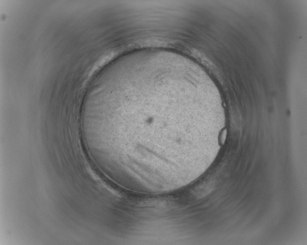 X0000074340625200609152123