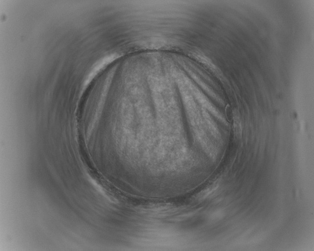 X0000074340626200609152123