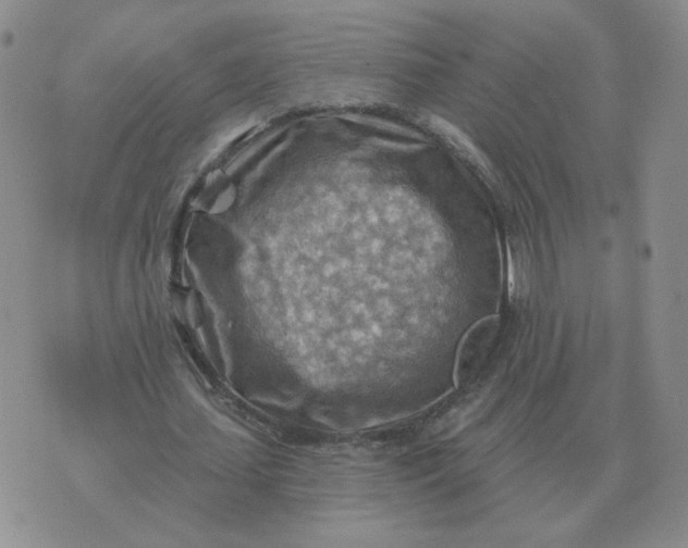 X0000074340627200609152123