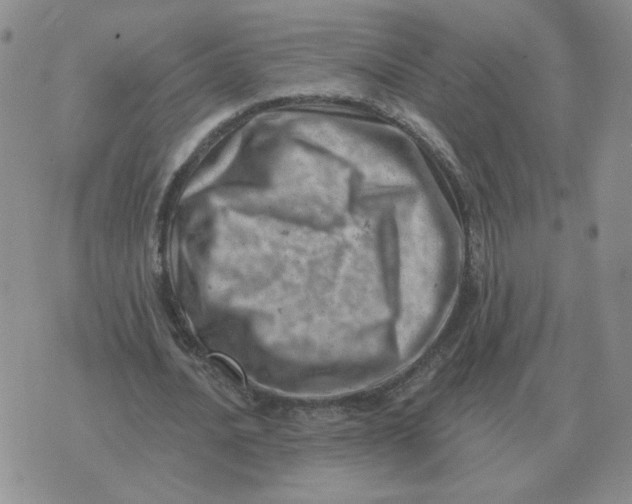 X0000074340628200609152123