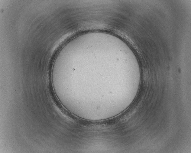 X0000074340629200609152123