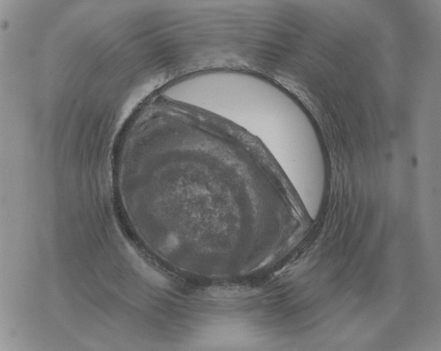 X0000074340630200609152123