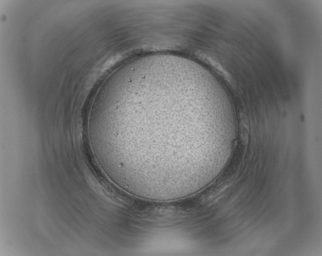 X0000074340631200609152123