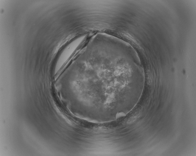 X0000074340634200609152123