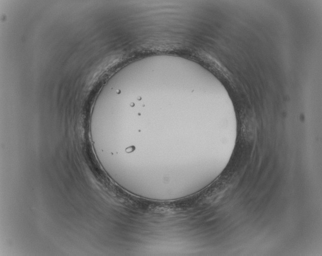 X0000074340635200609152123